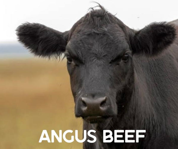 Angus Beef